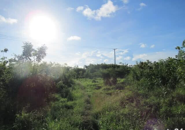 2.3-Acre Beach Plot for KSh 75M