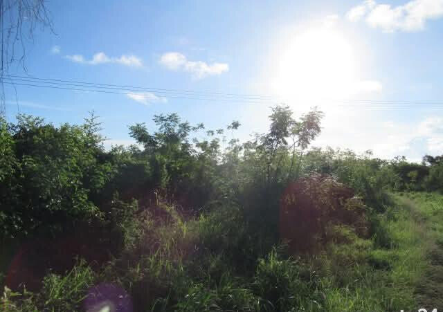 2.3-Acre Beach Plot for KSh 75M