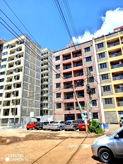 Safari Park , Prime 40*80 - Image 2