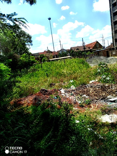 Safari Park , Prime 40*80 - Image 8