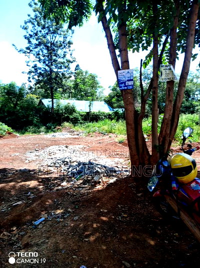 Safari Park , Prime 40*80 - Image 7