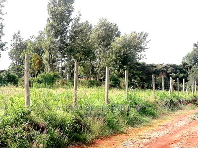 100x100 Ft Plot for Sale in Gikambura Kikuyu Kiambu County - Image 2