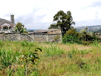 100x100 Ft Plot for Sale in Gikambura Kikuyu Kiambu County - Image 3