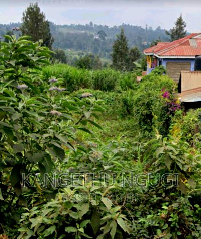 1 Acre Parcel of Land Thimbigia, Banana - Image 1