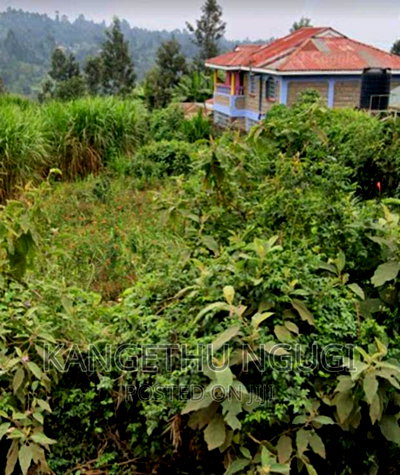 1 Acre Parcel of Land Thimbigia, Banana - Image 3