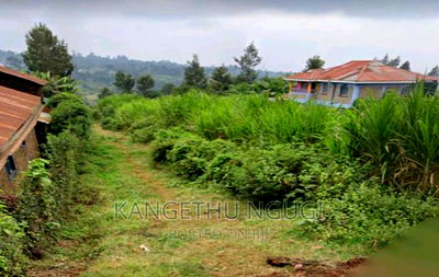1 Acre Parcel of Land Thimbigia, Banana - Image 2