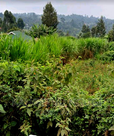 1 Acre Parcel of Land Thimbigia, Banana - Image 5