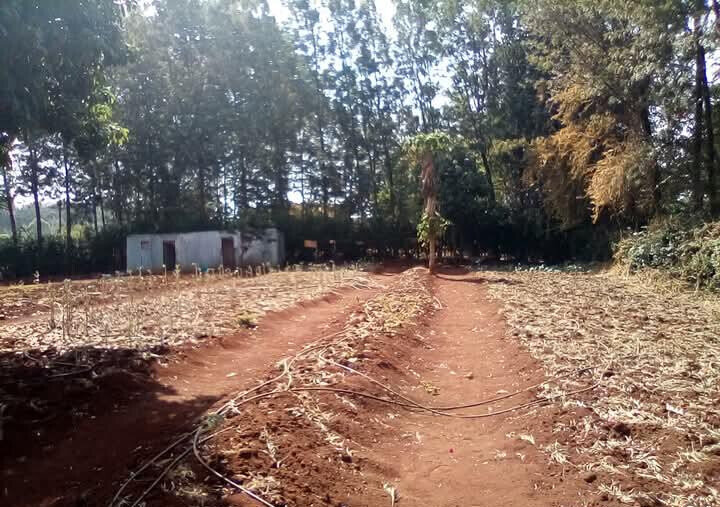 Kitisuru 0.5-Acre Plot at KSh 50M