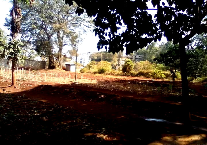 Kitisuru 0.5-Acre Plot at KSh 50M
