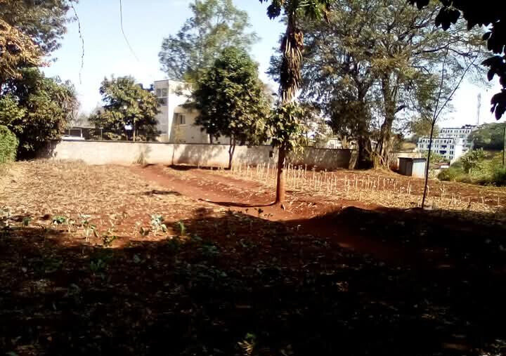 Kitisuru 0.5-Acre Plot at KSh 50M