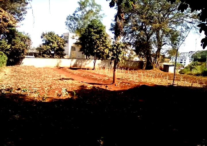 Kitisuru 0.5-Acre Plot at KSh 50M