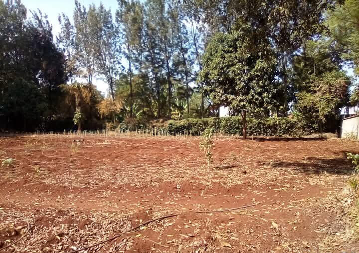 Kitisuru 0.5-Acre Plot at KSh 50M
