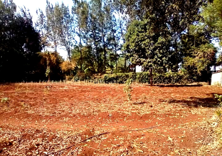 Kitisuru 0.5-Acre Plot at KSh 50M