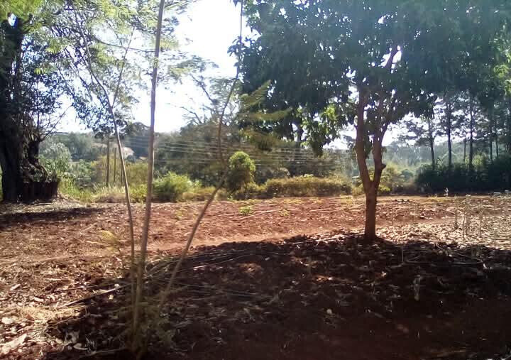 Kitisuru 0.5-Acre Plot at KSh 50M