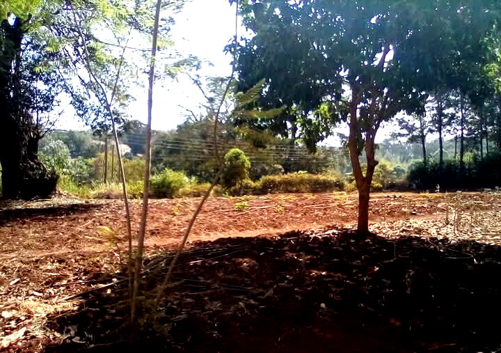 Kitisuru 0.5-Acre Plot at KSh 50M