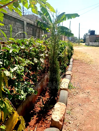 5bdrm Maisonette in Coradini Palace, Utawala for sale - Image 9