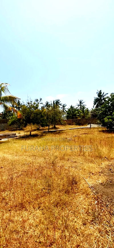 Quater Acre Plot for Sale - Image 6
