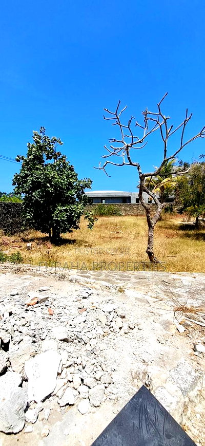 Quater Acre Plot for Sale - Image 2