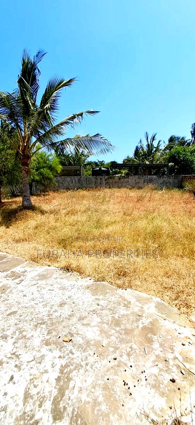 Quater Acre Plot for Sale - Image 3