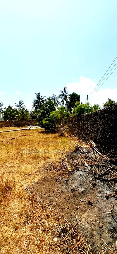 Quater Acre Plot for Sale - Image 5