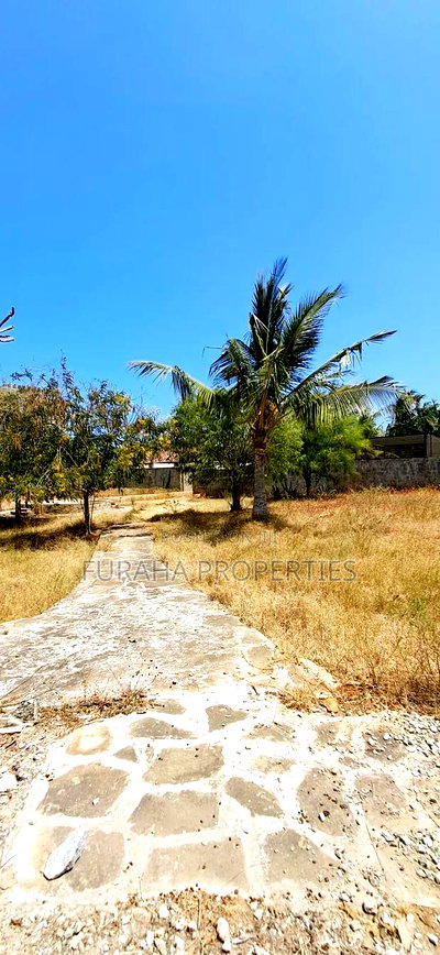 Quater Acre Plot for Sale - Image 1