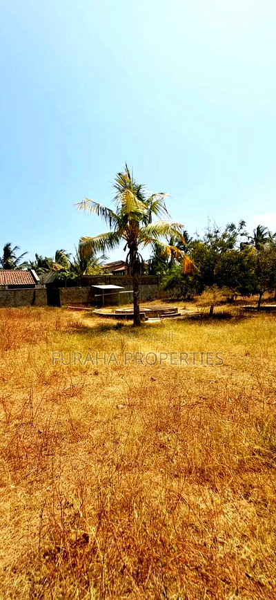 Quater Acre Plot for Sale - Image 4