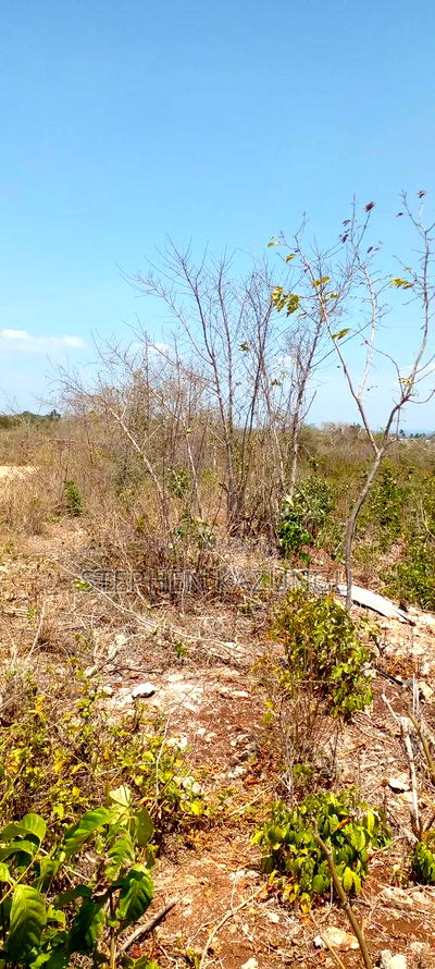 1/2 Acre Plot on 3rd Row in Galu Beach - Image 3