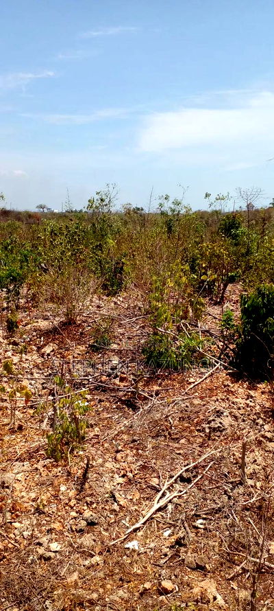 1/2 Acre Plot on 3rd Row in Galu Beach - Image 2