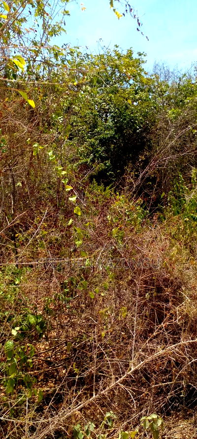 1/2 Acre Plot on 3rd Row in Galu Beach - Image 6