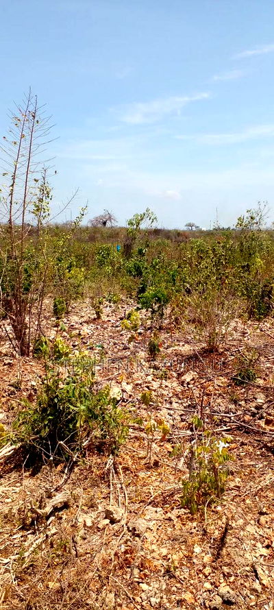 1/2 Acre Plot on 3rd Row in Galu Beach - Image 8