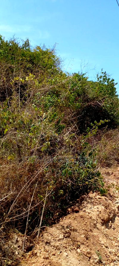 1/2 Acre Plot on 3rd Row in Galu Beach - Image 5