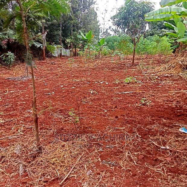 Kabati Residential 40*80ft Plots for Sale