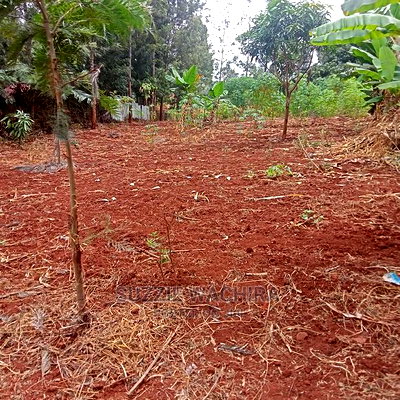 Kabati Residential 40*80ft Plots for Sale - Image 2