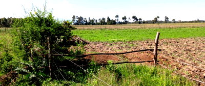3.5-Acre Land in Kipipiri