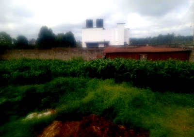 Half Acre Plot in Gated Community - Tigoni