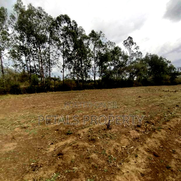 2 Acres Prime Residential Plot for Sale at Kabarak Chergei