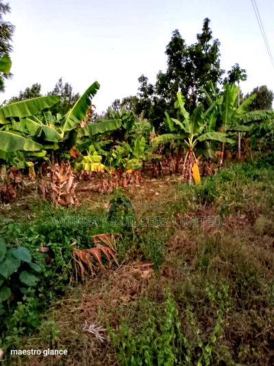 Quick Sale of 50 by 100 Plot Near Kirinyaga University - Image 5