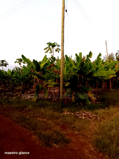 Quick Sale of 50 by 100 Plot Near Kirinyaga University - Image 8