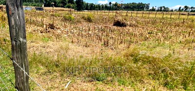 1/4 Plot Touching Highway for Sale Chepkanga Eldoret - Image 5