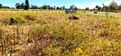 1/4 Plot Touching Highway for Sale Chepkanga Eldoret - Image 4
