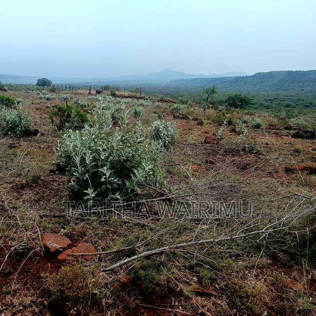 Residential Plot for Sale in Ngong Kimuka