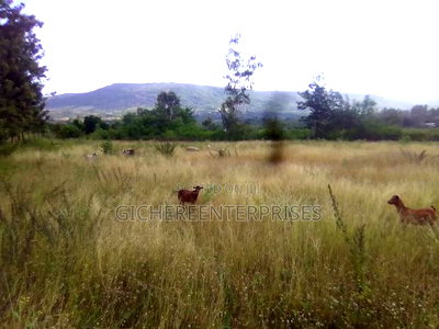 Makuyu Mananja - Image 6