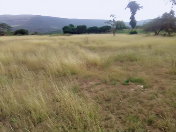 Makuyu Mananja