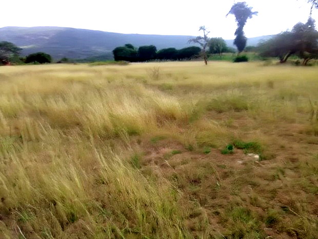 Makuyu Mananja