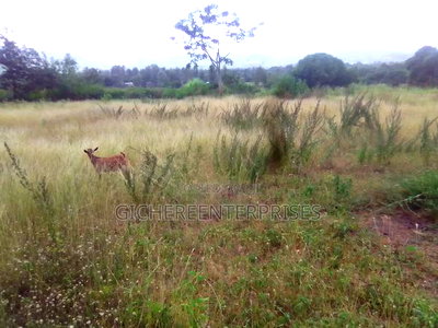 Makuyu Mananja - Image 3