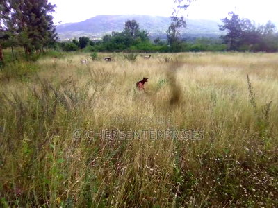 Makuyu Mananja - Image 4