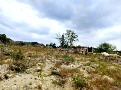 Affordable 50*100ft Plots for Sale in Kilifi Mida - Image 7