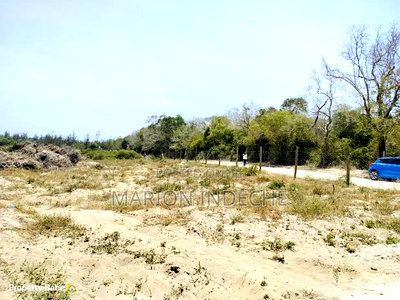 Affordable 50*100ft Plots for Sale in Kilifi Mida - Image 6