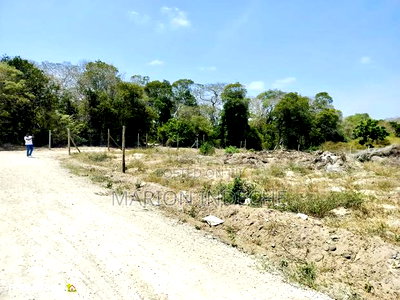 Affordable 50*100ft Plots for Sale in Kilifi Mida - Image 5
