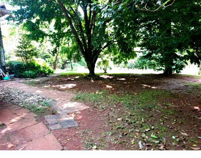2.2-Acre Lavington Plot with Garden